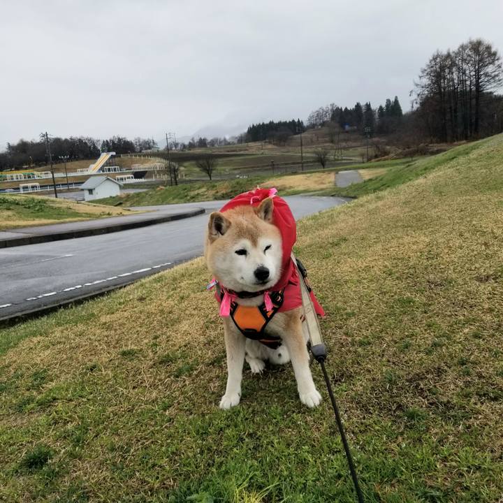 68b2f18e fc24 4379 8f88 1fc531d07bf1 1712631478686