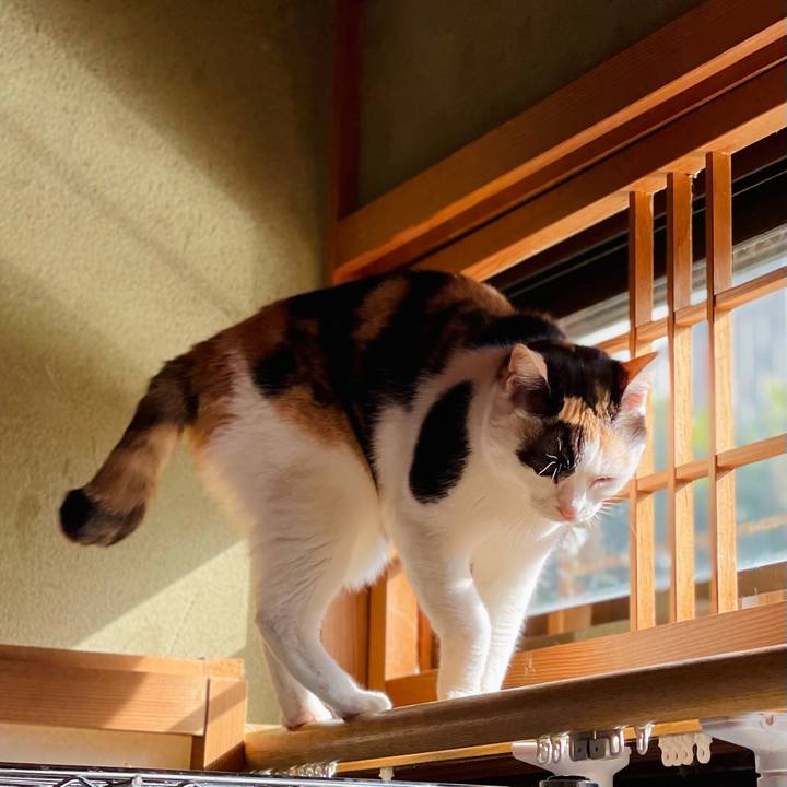 68b2f8c2 4ec0 4166 bd95 d237d9b3476a 1621735984292