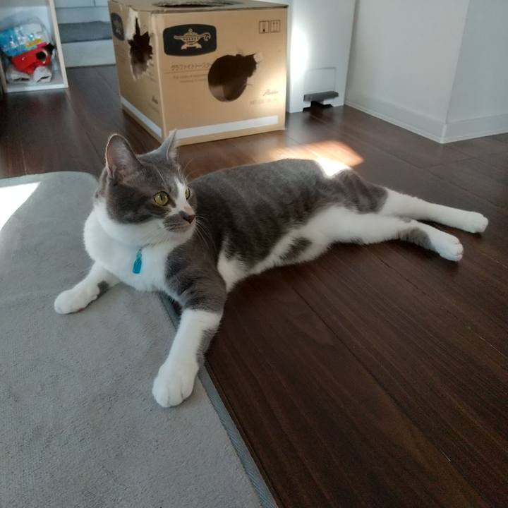 68b2f90e 9437 4d17 97a5 1d5cfe129147 1632871170159