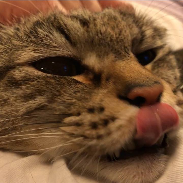 68b30c4b 108e 4ff9 a24d 46b07a88b0e0 1556195120338