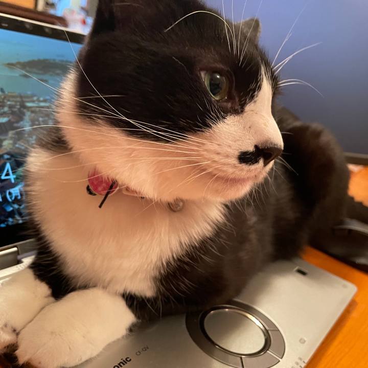 68b31edf a768 4d37 b9d0 0725b50cd475 1652098905989