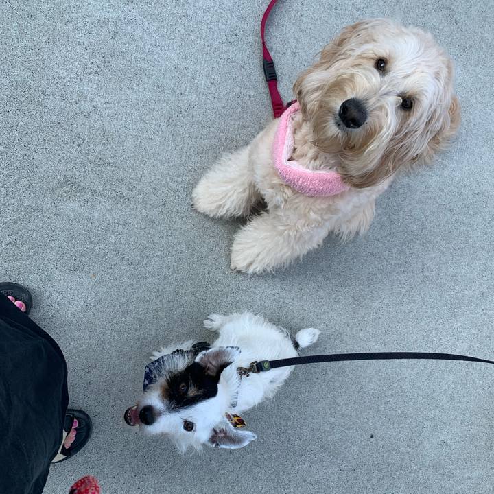 68b32187 65b9 442e a018 e343445fcc68 1722898394325