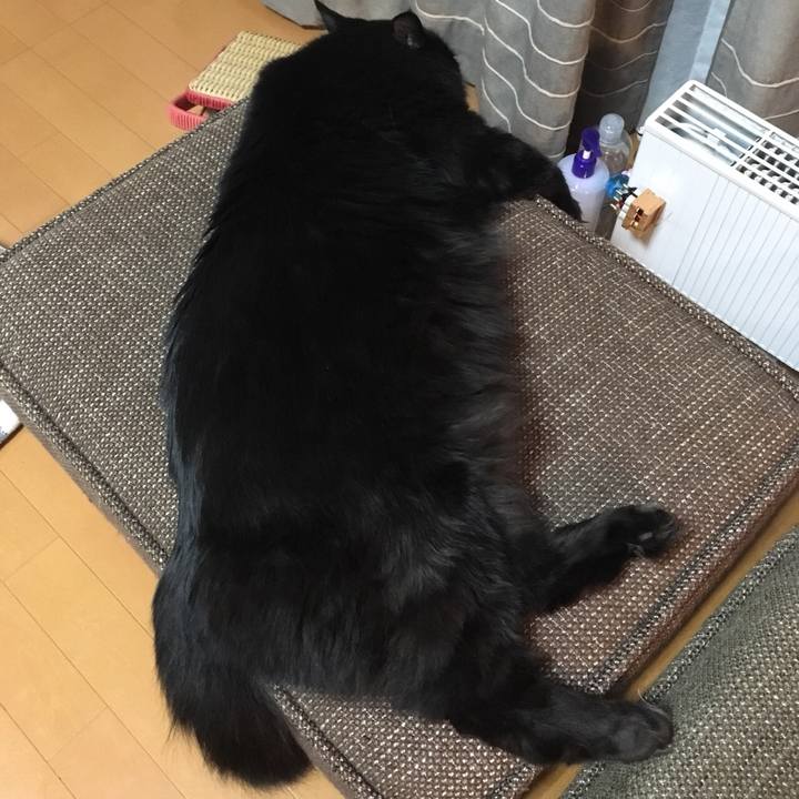 68b32327 3b24 44cf 9f82 373bcbb8c333 1520690210734