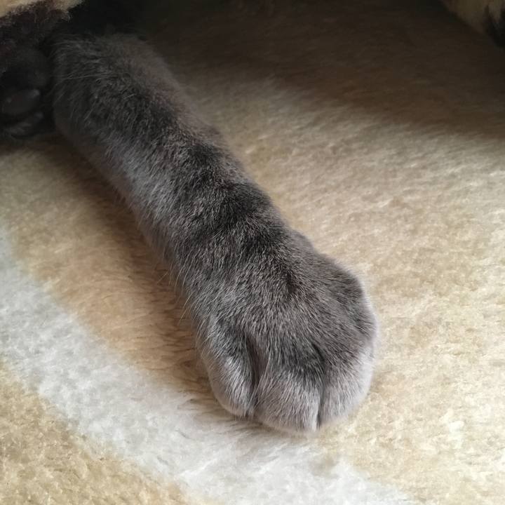 68b3499d 60bd 4b5a b5bf 10a48de9e0ee 1550063166165