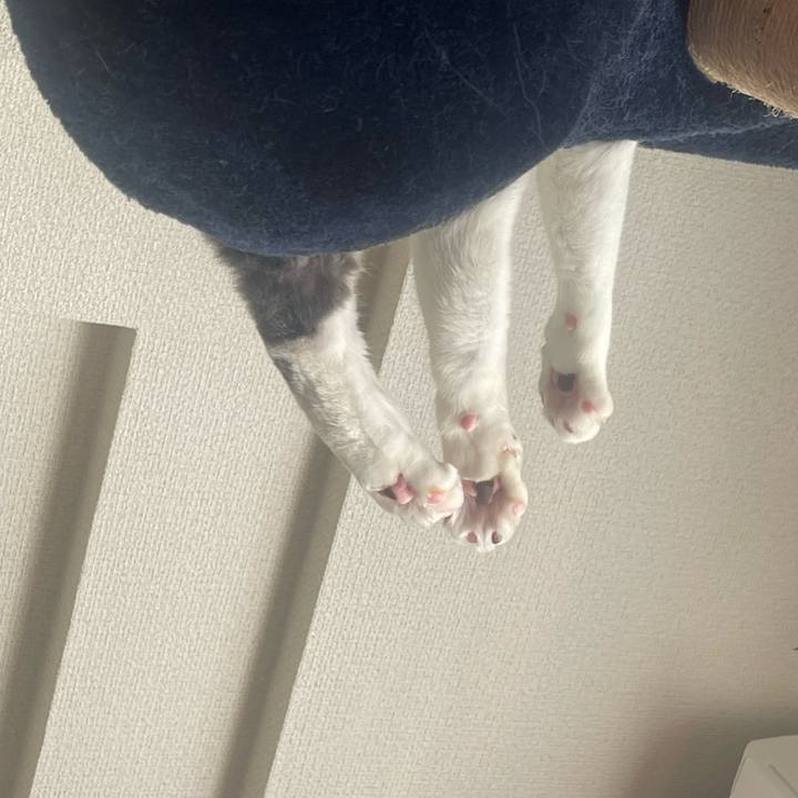 68b36674 07b9 4f37 9f8f 74e679d2cd8b 1728865648874