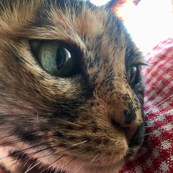 68b372f8 512b 4f75 9f26 f176eb179e12 1519307350379