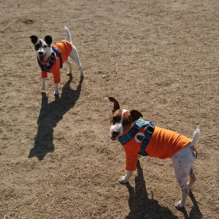 68b3acf0 6935 4b02 bed1 c687d335c37d 1611229770194