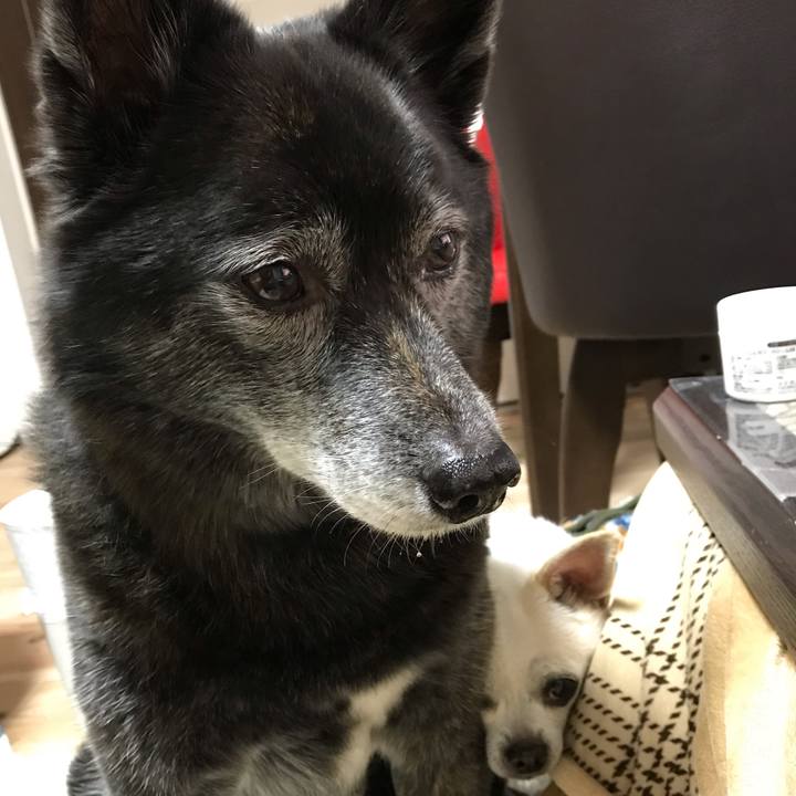 68b3e02d c218 4f17 aa91 a0787f6289cc 1580821081351