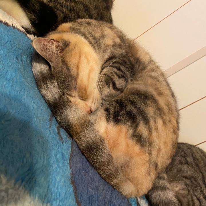 68b474fb 6b65 4c60 b3e7 f1dcf5ea0b47 1582630299474