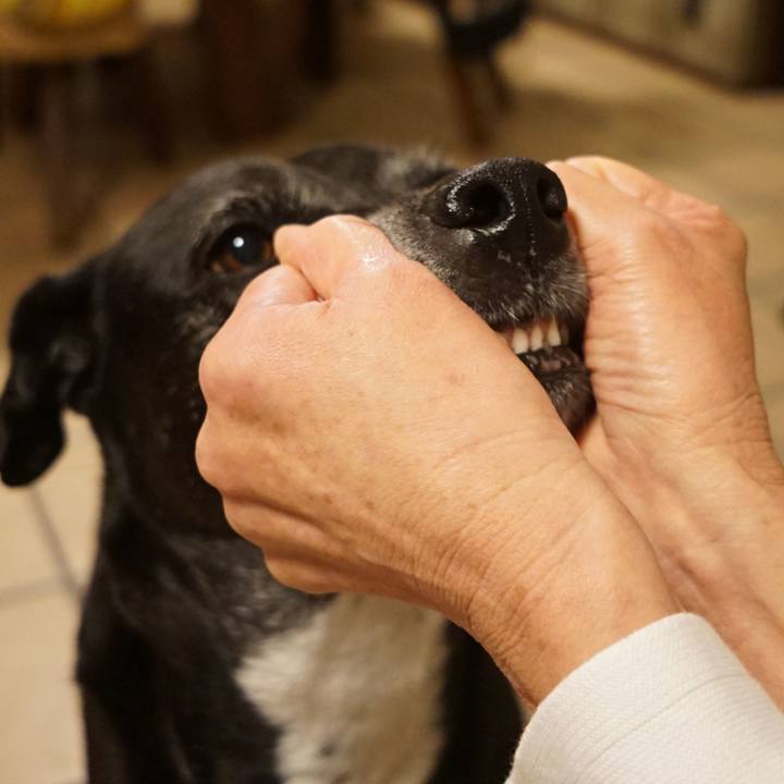 68b49d13 5699 4430 a89a 834a3258d73f 1763118924977