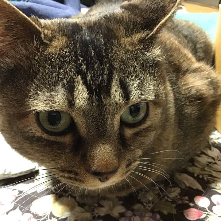 68b51202 4f24 4293 a02d b8c818b55cb4 1746183170307