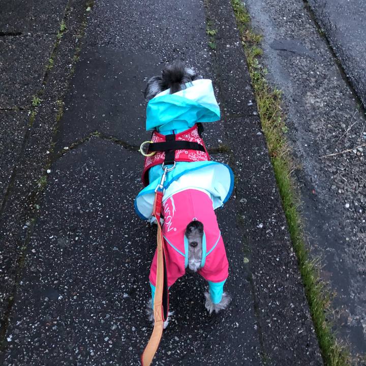 68b51391 75ca 47f6 9ffe a5d930ccd85c 1586836775387