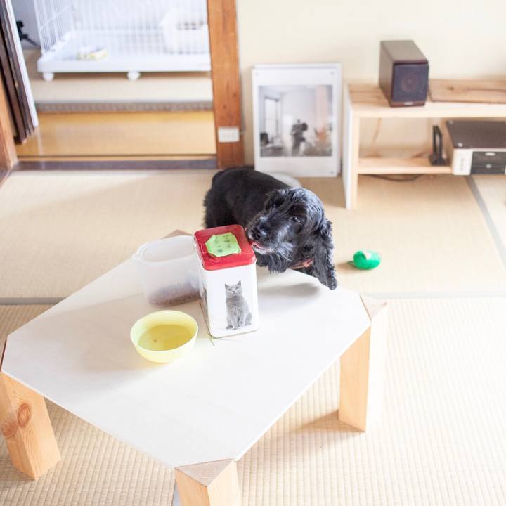 68b52892 5fc8 4f60 b77a 652527bcfbb8 1573533360198