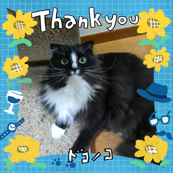 68b5652d 55b7 4f15 a971 04c2137c6b81 1717658212353