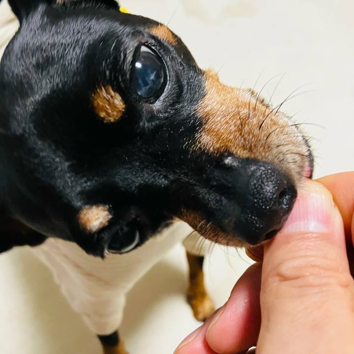 68b575d6 5abe 41f3 97f4 5ce40624f55c 1733440638112