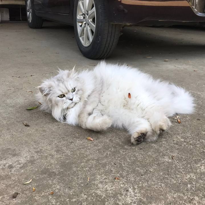 68b5788c 2b87 4b1d 8631 b7fe4958f007 1557476878274