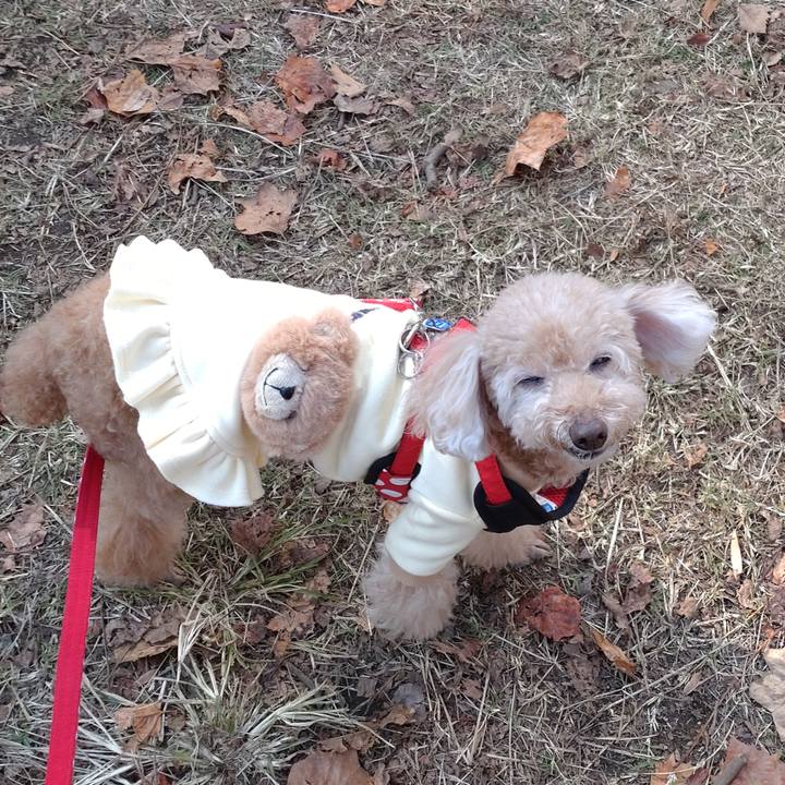 68b5c195 4f9b 4586 a36d e43dee7be6ed 1637392679292