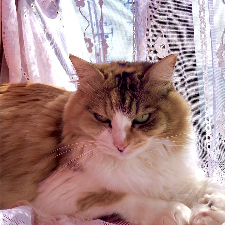 68b5e1e6 7400 453f b4a3 8edaa152c91b 1585974124909