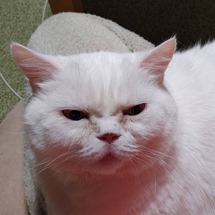 68b5e968 6d40 414d b9c4 c58ed0969765 1771332956538