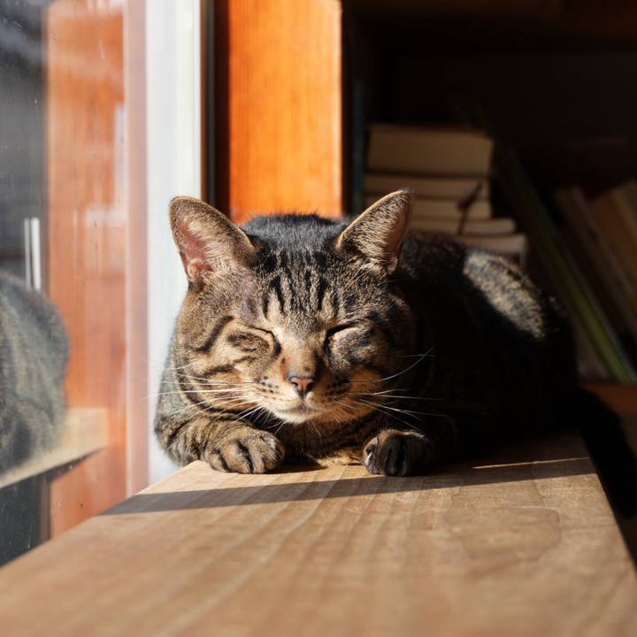 68b5ecc9 e196 4ef3 ba6d f361f94bc22d 1731712426196