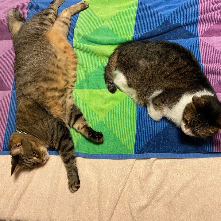 68b5f16f dda4 45bc 9099 b670631a8b84 1596382604325