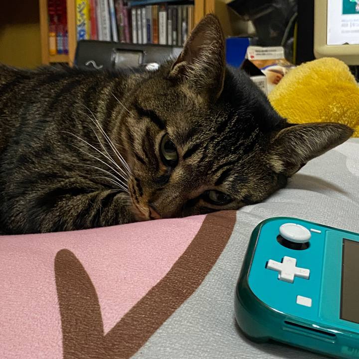 68b6185a c91b 452e 8717 dd8bff850401 1619833016799