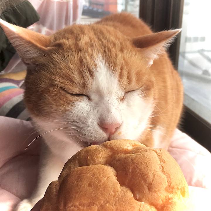 68b66364 b932 4d11 9d43 c475f6e085ac 1582361100003