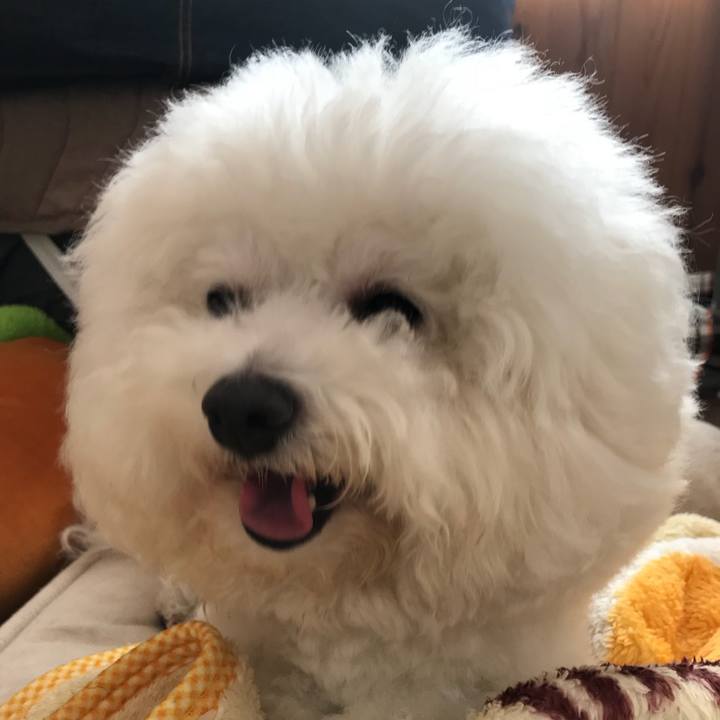 68b66f97 73ca 4b67 936f 544ee87e0209 1541117182351