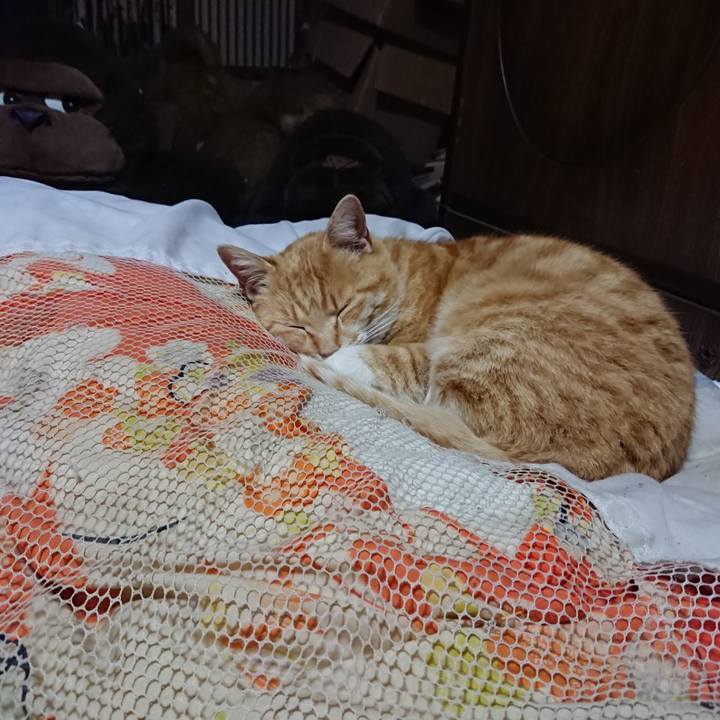 68b678ae 9091 4301 8542 7f2981d77ef9 1587467822391