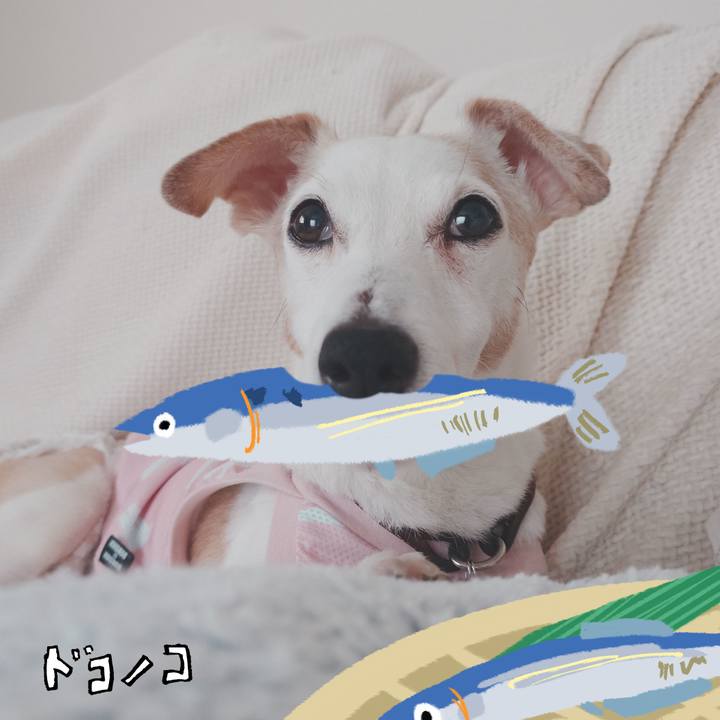 68b70848 4232 49f7 8f55 efb0383dff0f 1789861170938
