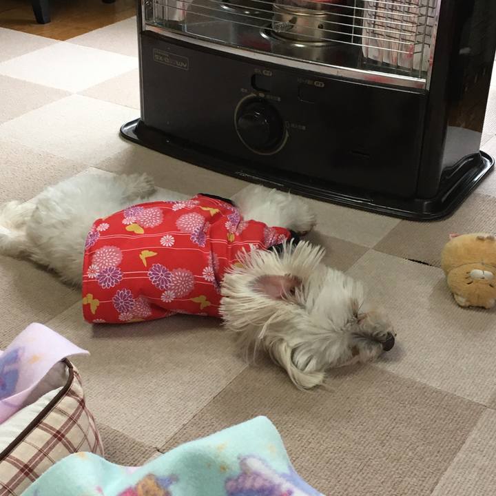 68b76343 2ece 4be5 af16 0a787cd9a46e 1647586686536