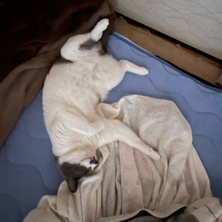 68b77c41 9b7e 495a ae55 e30b1bda7710 1663540658242