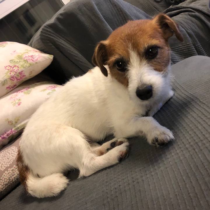 68b78be5 a11f 4938 8dc3 dca055115195 1591270736173