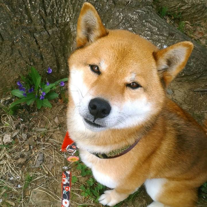 68b798ae 8bb9 4b7b 8493 127bf60f48fe 1522888377975