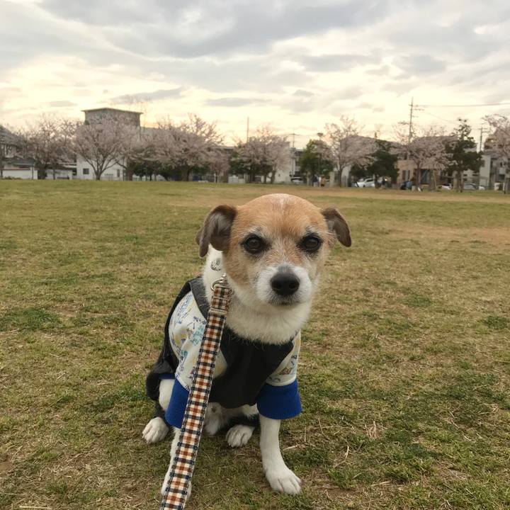 68b79e2d a474 4069 8ed2 d23bfe9bcbbc 1585295732897