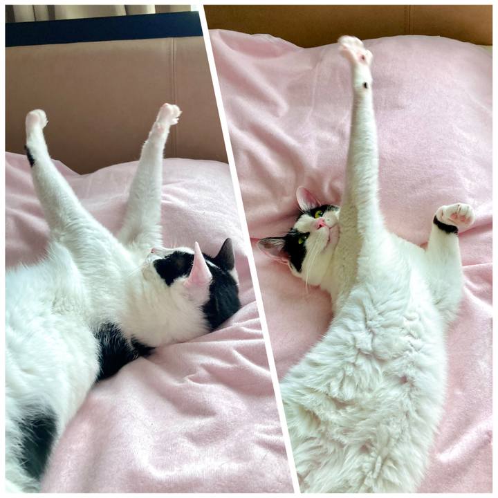 68b7d442 7741 4629 9fdc c9e839fa5d4f 1659424997096