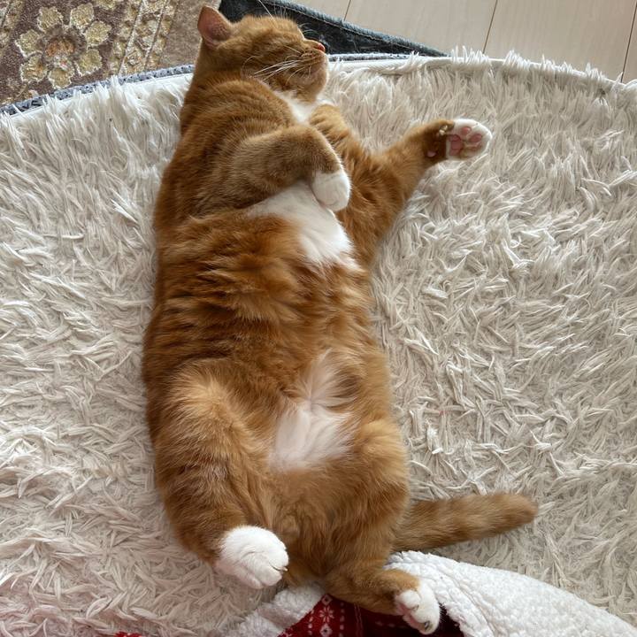 68b7ec6b 62c5 4939 b628 f9cdd00b755d 1665886708879