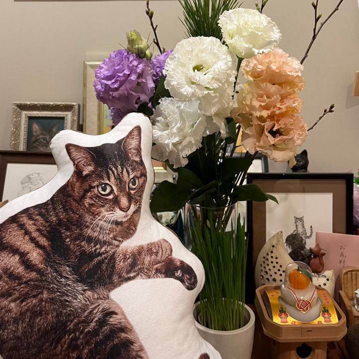 68b7ecba 3d67 421b 8fe7 35960baa62e4 1767178167950