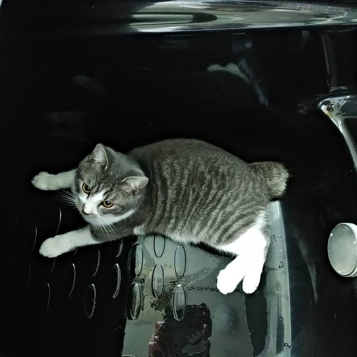 68b7ed83 b2ea 474a 9649 14615f7e0bb4 1576712084464