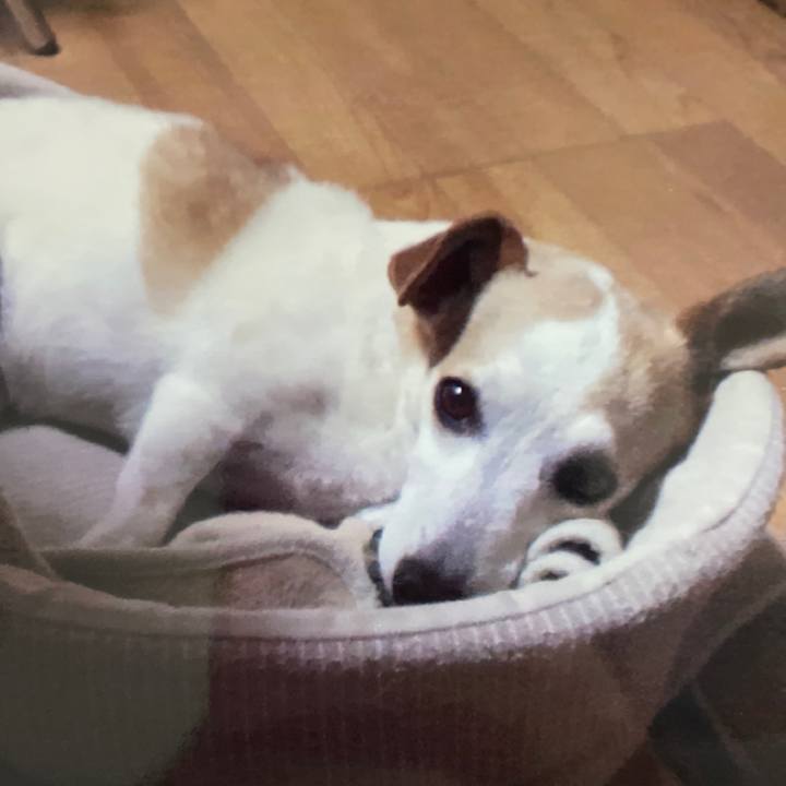 68b801b2 1be8 4417 8a4d ca49ff8df115 1635853160436