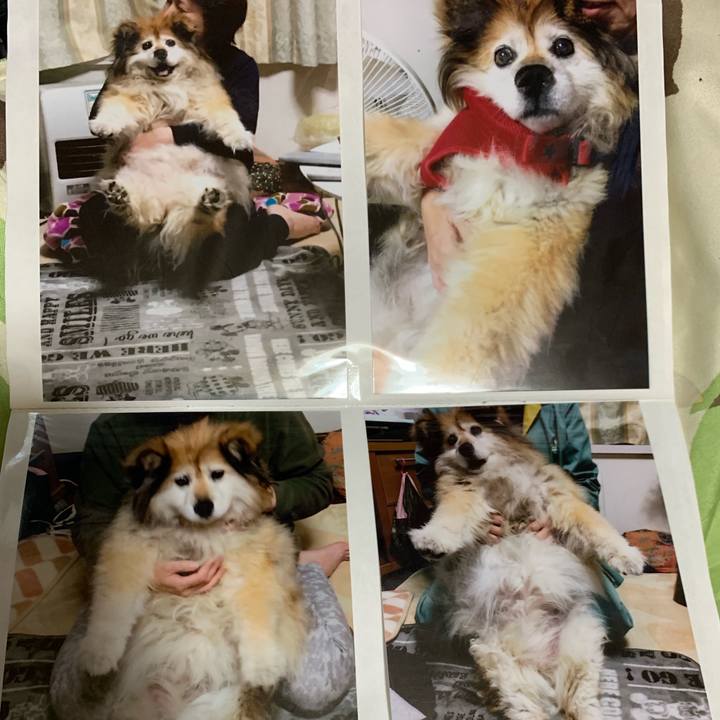 68b80945 2a74 4203 8610 db172eb1b2dc 1561805721082