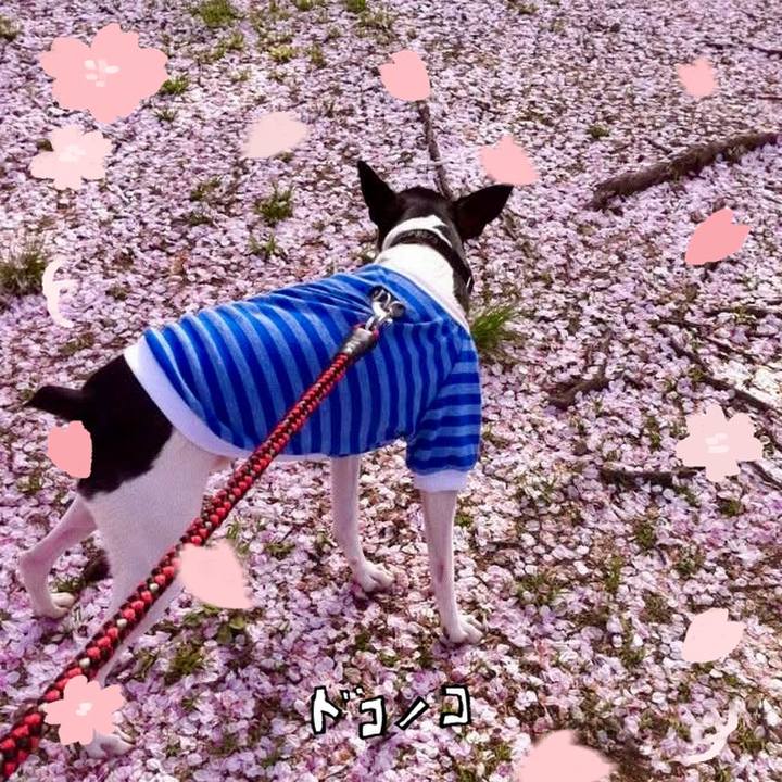 68b8138e ffbf 4dec bbd5 9870a52e887d 1744415979305