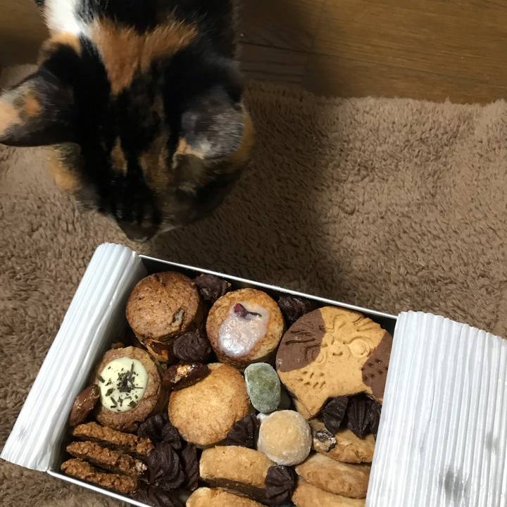 68b86722 2000 417a be70 6dfe0b531f34 1683378032034