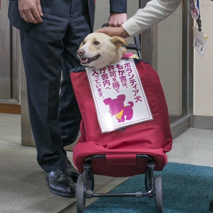 68b87bdd a06d 4ed3 b410 17b0a6854cde 1547328135025