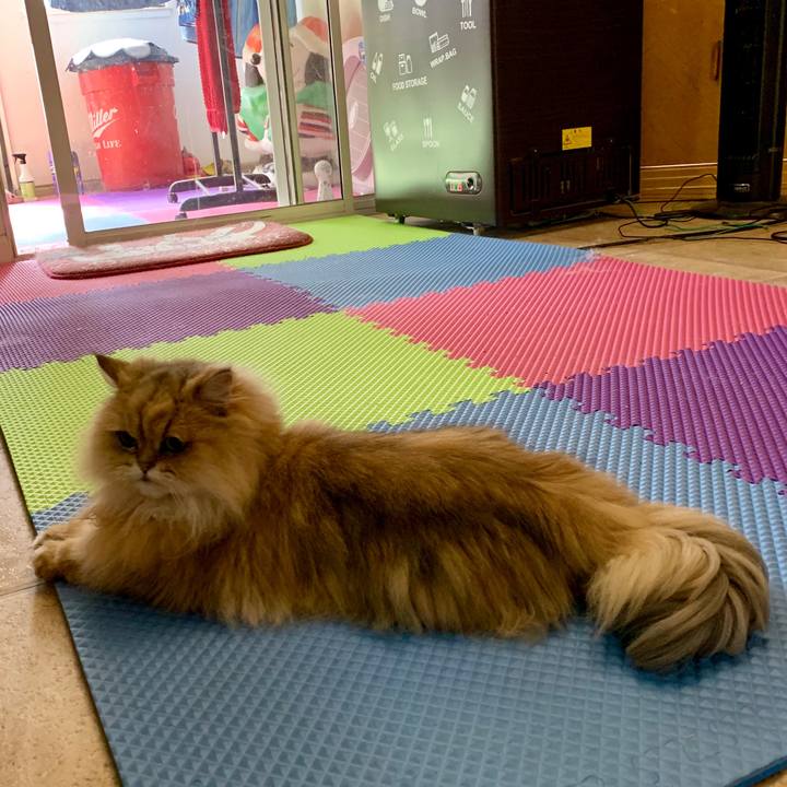 68b8b46a 5850 4b5f a187 fd655c300028 1568668417671