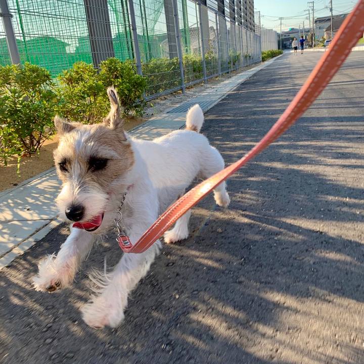 68b8b67c 3d19 4670 ac51 3cf0189afbc4 1600725373131