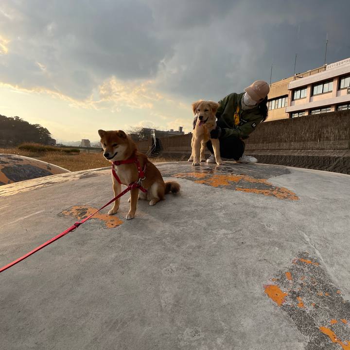 68b8c82d 9893 4264 b244 8da3c78067f0 1677339252483