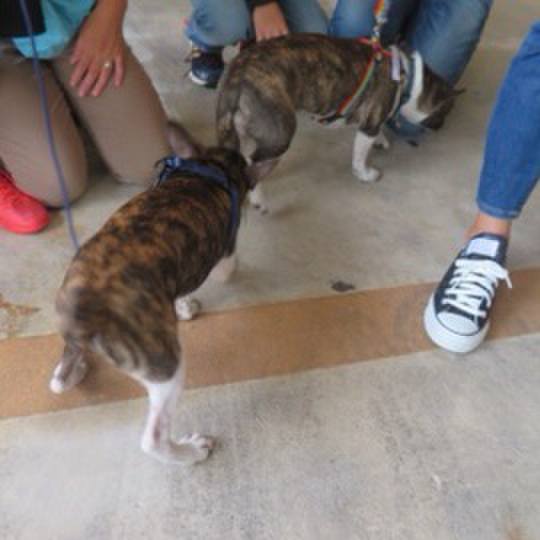 68b93ad3 219b 4139 861b c2c2dbfbc032 1604570145313