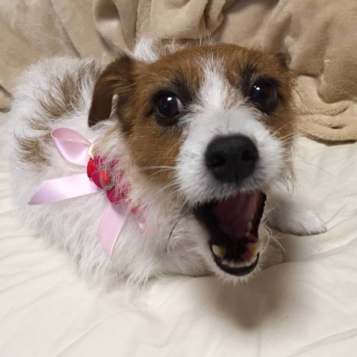 68b9658d 2b2e 428c adc5 3114a85f38cb 1510378995165