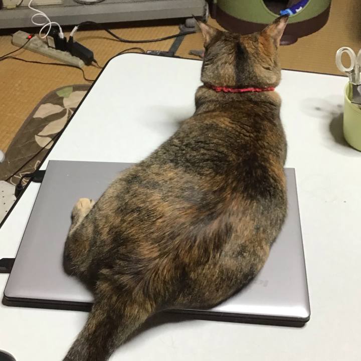 68b990e4 7549 4d92 b945 068bec4bcb3d 1685364170565